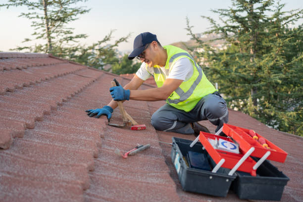 Best Roof Waterproofing Services  in Decatur, IL